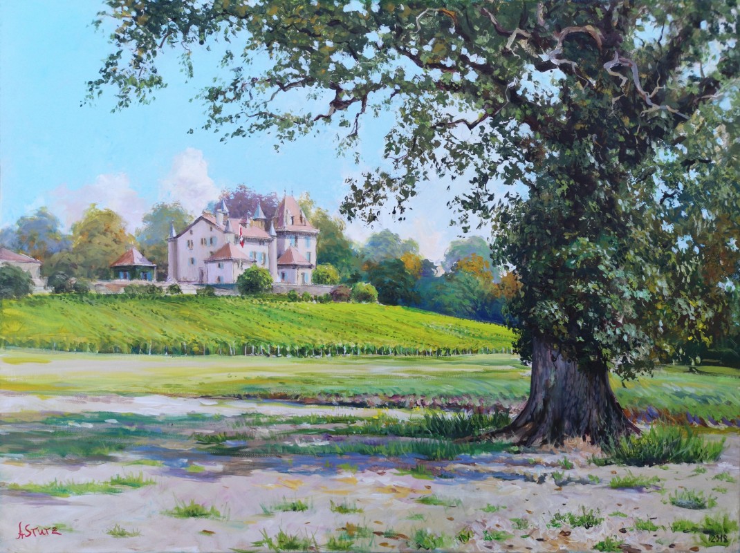 vuechateauducrest w